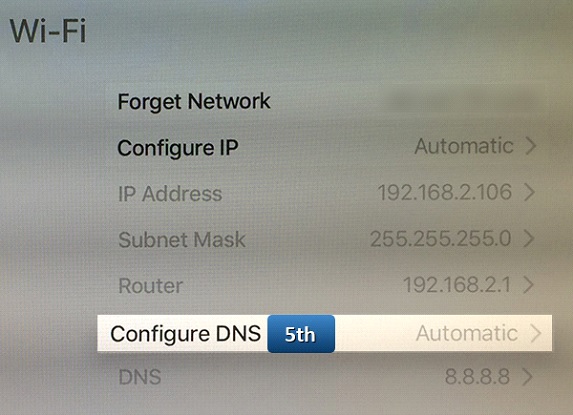 How to change DNS on apple tv – screenshot 34