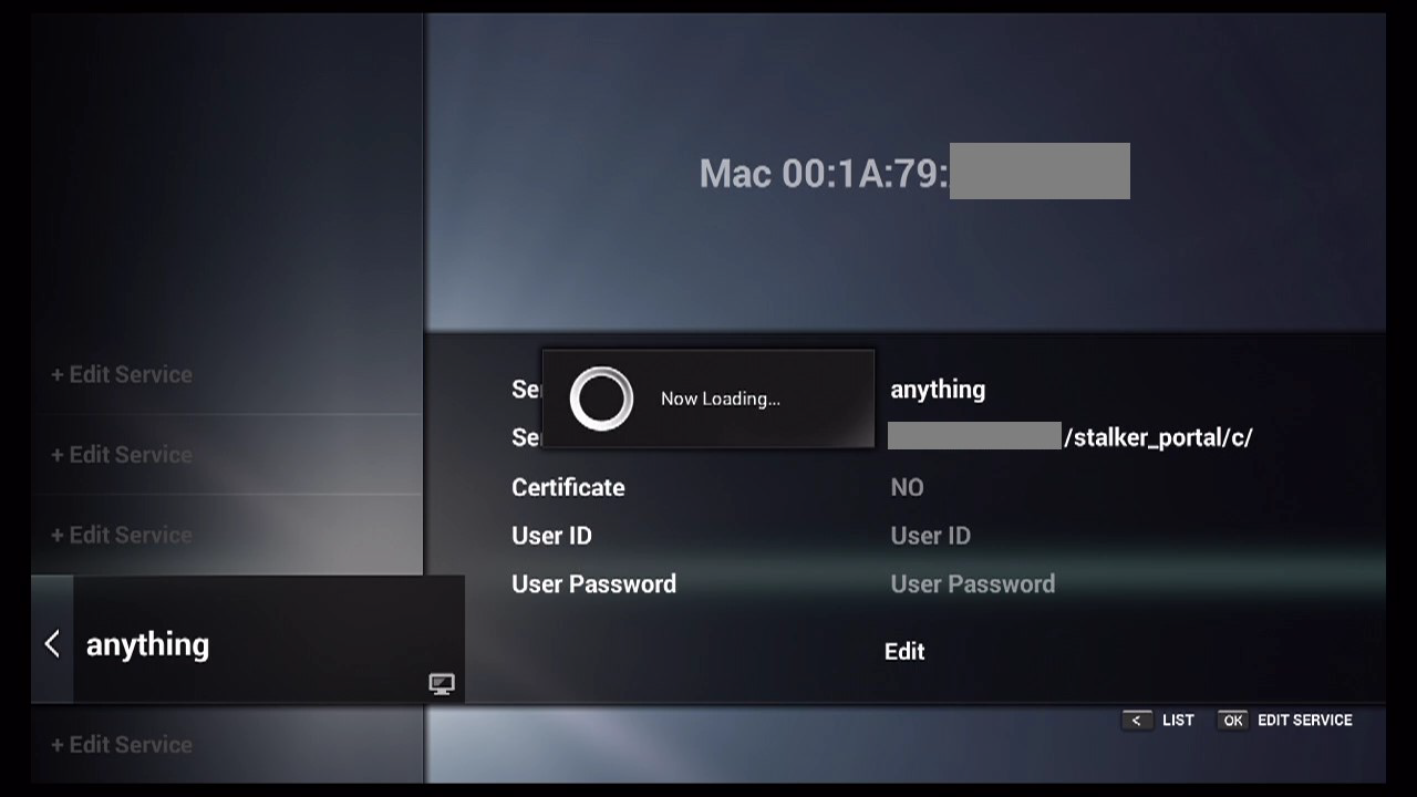 How to setup IPTV on Dreamlink box via DOL2 – screenshot 9